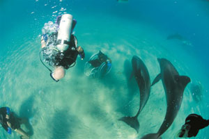 DDI Assistant Instructor